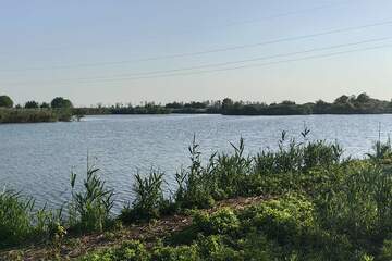 Ведение садоводства, 5 сот.