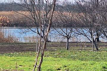 ИЖС, 16,5 сот.