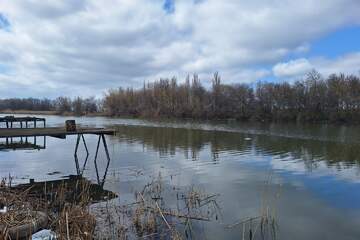 Дом, 45 м², 1 эт.