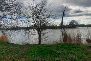 Дом, 90 м², 1 эт.