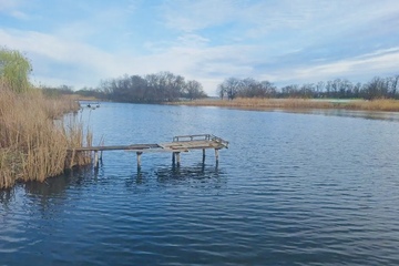 ЛПХ, 30,2 сот.