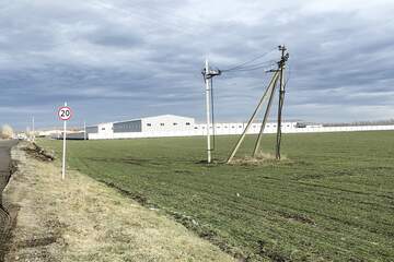 Производственная деятельность, 2 га